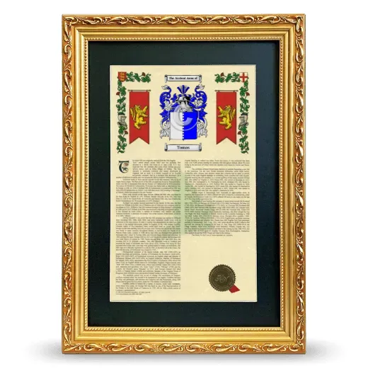 Tomas Deluxe Armorial Framed - Gold