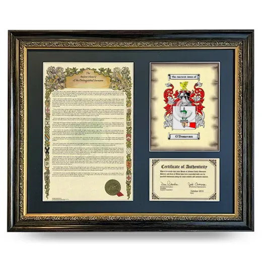 O'Donavan Framed Surname History and Coat of Arms- Heirloom