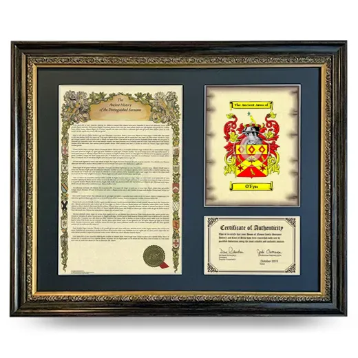 O'Fyn Framed Surname History and Coat of Arms- Heirloom