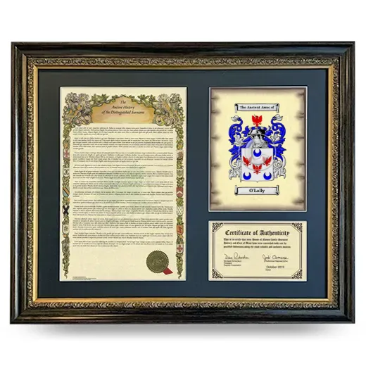 O'Lally Framed Surname History and Coat of Arms- Heirloom