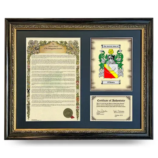 O'Steen Framed Surname History and Coat of Arms- Heirloom
