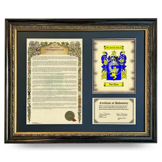 Van Rhyn Framed Surname History and Coat of Arms- Heirloom