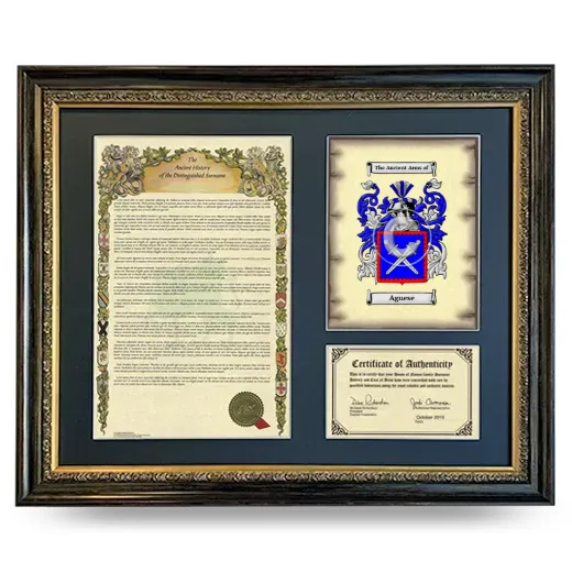 Agnese Framed Surname History and Coat of Arms- Heirloom