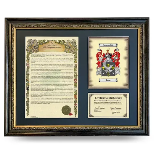 Baro Framed Surname History and Coat of Arms- Heirloom