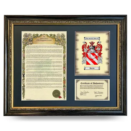 Baron Framed Surname History and Coat of Arms- Heirloom