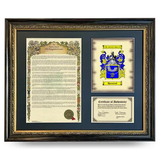 Bjornstad Framed Surname History and Coat of Arms- Heirloom