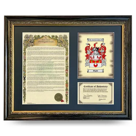 Blight Framed Surname History and Coat of Arms- Heirloom