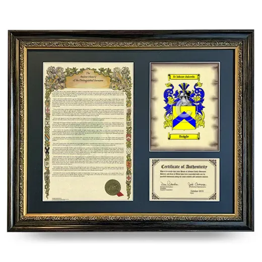Boigle Framed Surname History and Coat of Arms- Heirloom