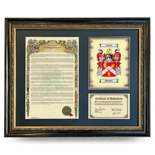 Bowrine Framed Surname History and Coat of Arms- Heirloom