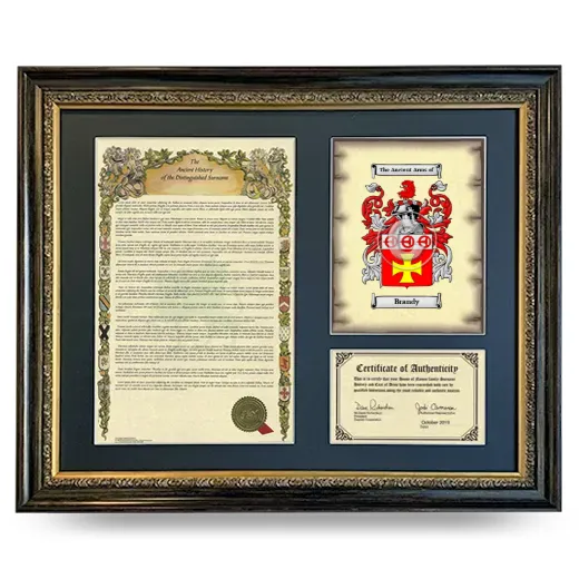Brandy Framed Surname History and Coat of Arms- Heirloom
