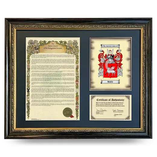 Briele Framed Surname History and Coat of Arms- Heirloom