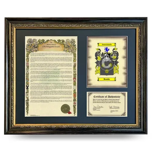 Brooks Framed Surname History and Coat of Arms- Heirloom