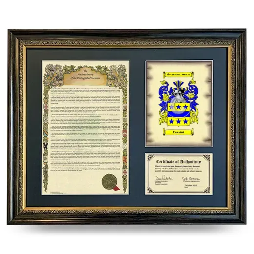 Cassini Framed Surname History and Coat of Arms- Heirloom