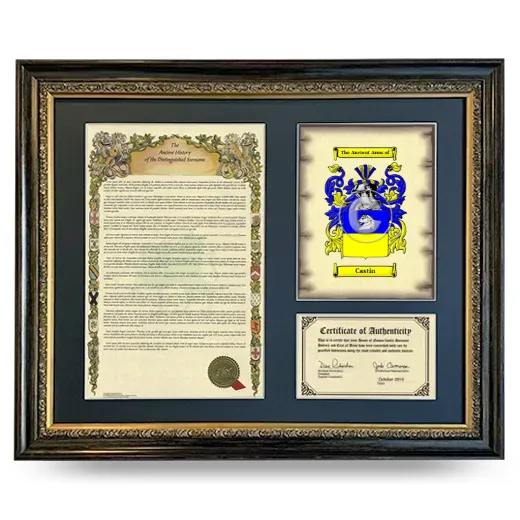 Castin Framed Surname History and Coat of Arms- Heirloom