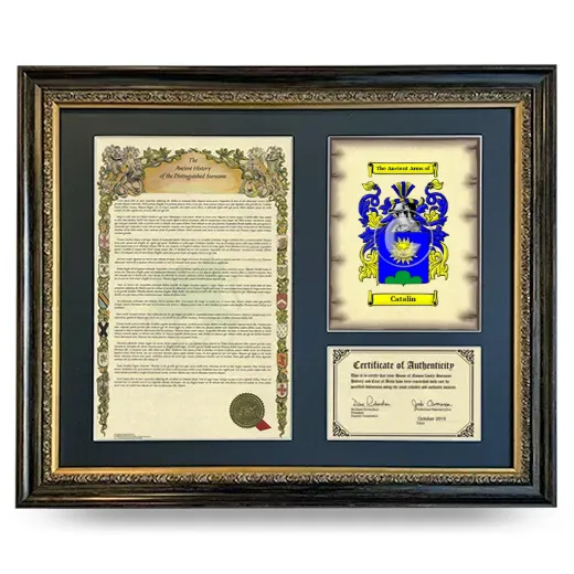 Catalin Framed Surname History and Coat of Arms- Heirloom