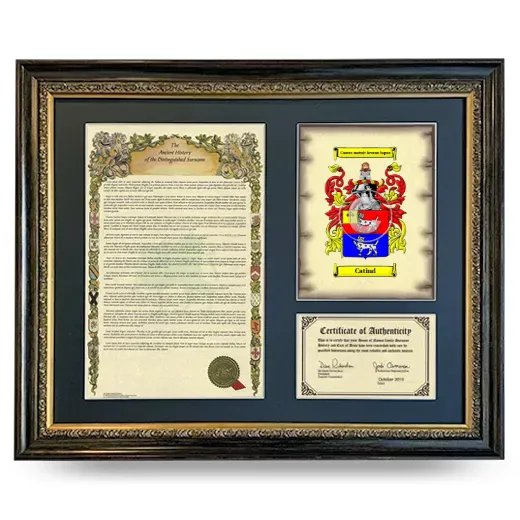 Catind Framed Surname History and Coat of Arms- Heirloom