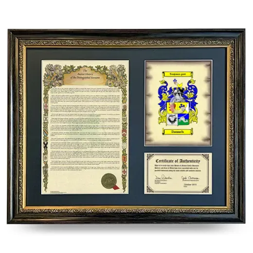 Dannels Framed Surname History and Coat of Arms- Heirloom