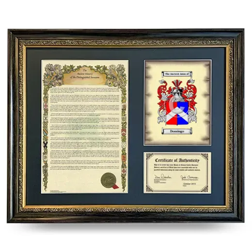 Domingo Framed Surname History and Coat of Arms- Heirloom
