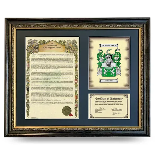 Donahoo Framed Surname History and Coat of Arms- Heirloom