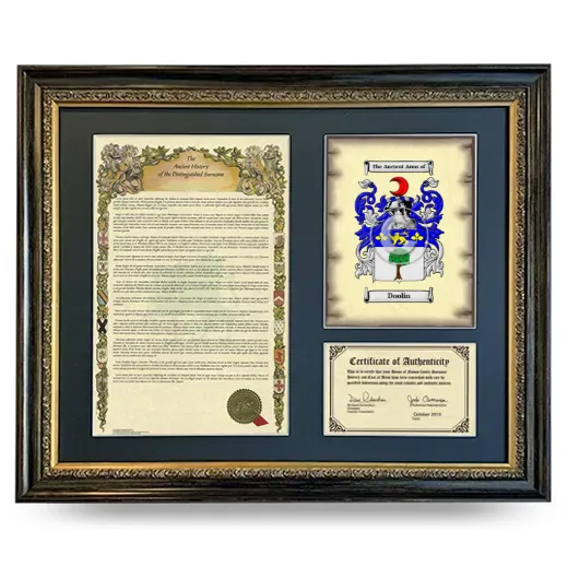 Doolin Framed Surname History and Coat of Arms- Heirloom