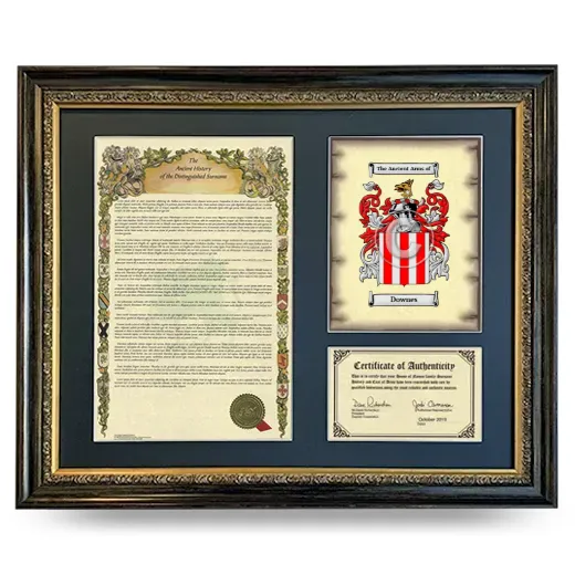Downes Framed Surname History and Coat of Arms- Heirloom
