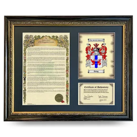 Dring Framed Surname History and Coat of Arms- Heirloom