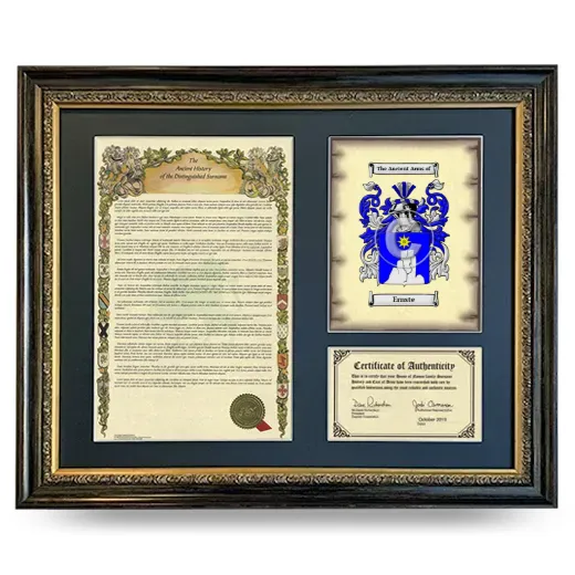 Ernste Framed Surname History and Coat of Arms- Heirloom
