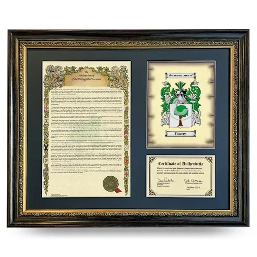 Finerty Framed Surname History and Coat of Arms- Heirloom