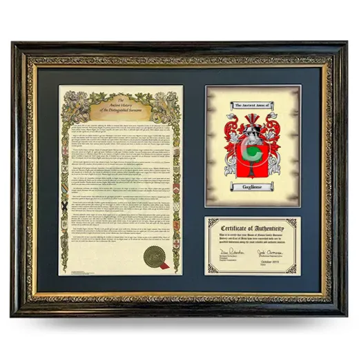 Gaglione Framed Surname History and Coat of Arms- Heirloom