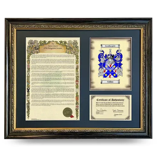Galom Framed Surname History and Coat of Arms- Heirloom