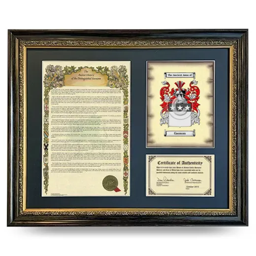 Ganson Framed Surname History and Coat of Arms- Heirloom