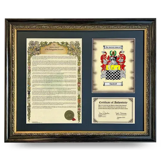 Gastrel Framed Surname History and Coat of Arms- Heirloom