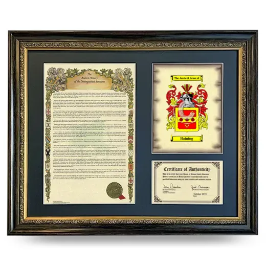 Haining Framed Surname History and Coat of Arms- Heirloom