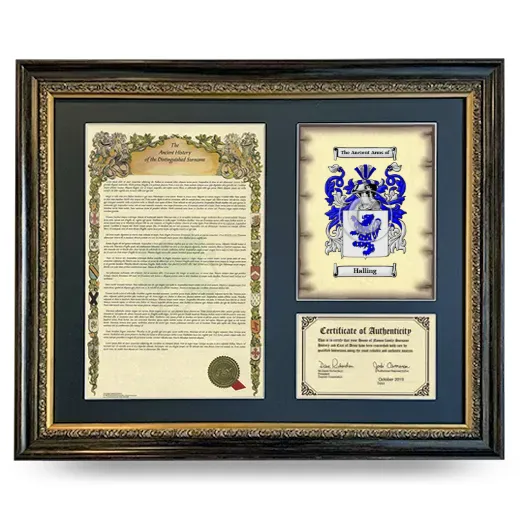 Halling Framed Surname History and Coat of Arms- Heirloom