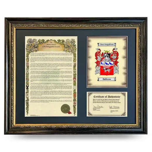Halloran Framed Surname History and Coat of Arms- Heirloom