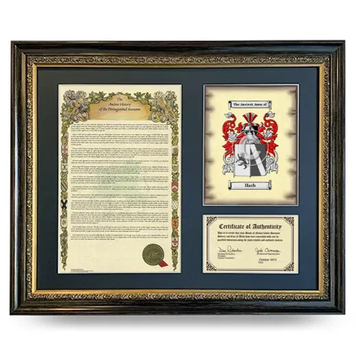 Harb Framed Surname History and Coat of Arms- Heirloom