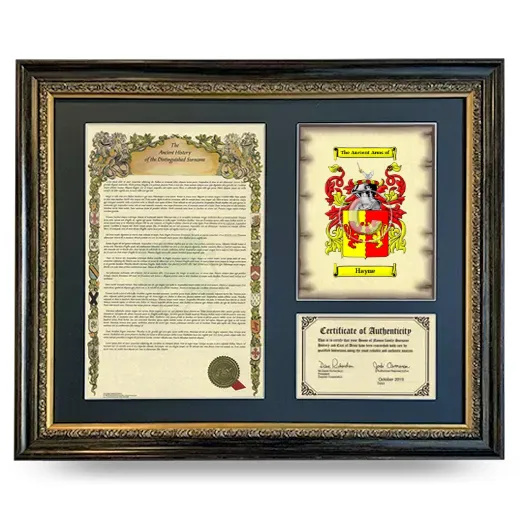 Hayne Framed Surname History and Coat of Arms- Heirloom