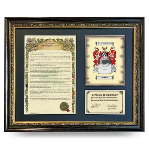 Hillock Framed Surname History and Coat of Arms- Heirloom