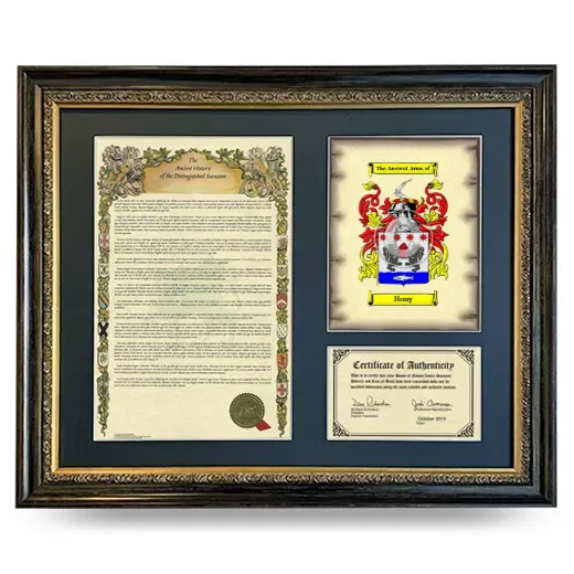 Hony Framed Surname History and Coat of Arms- Heirloom