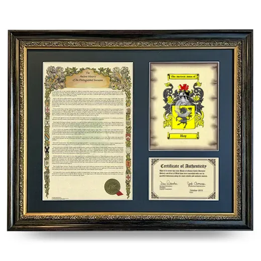 Hoy Framed Surname History and Coat of Arms- Heirloom