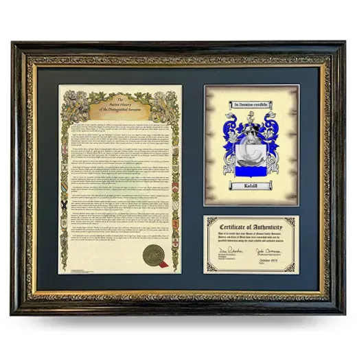 Kahill Framed Surname History and Coat of Arms- Heirloom
