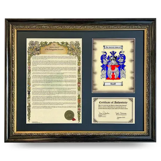 Knoll Framed Surname History and Coat of Arms- Heirloom