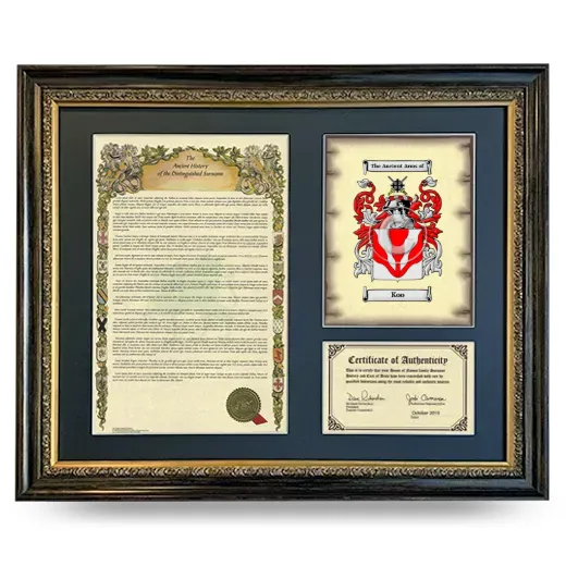 Koo Framed Surname History and Coat of Arms- Heirloom