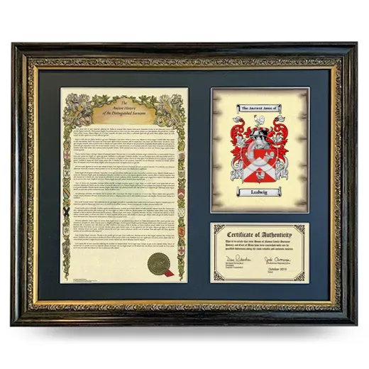 Ludwig Framed Surname History and Coat of Arms- Heirloom