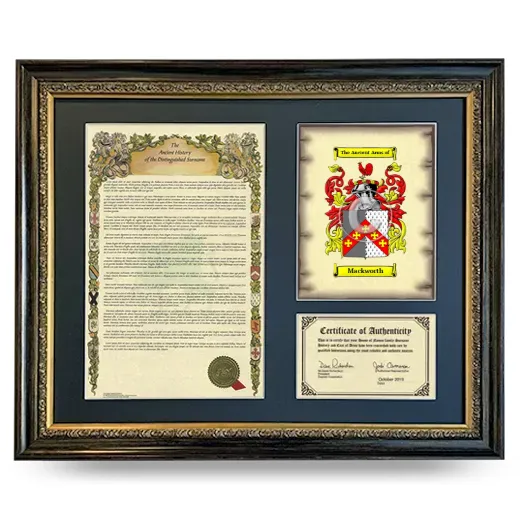 Mackworth Framed Surname History and Coat of Arms- Heirloom