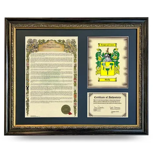 Maily Framed Surname History and Coat of Arms- Heirloom