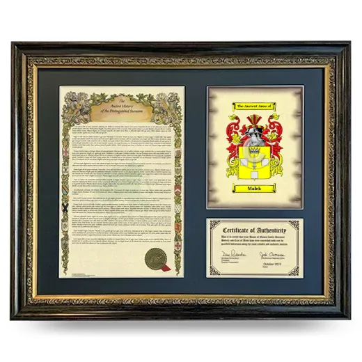 Malek Framed Surname History and Coat of Arms- Heirloom