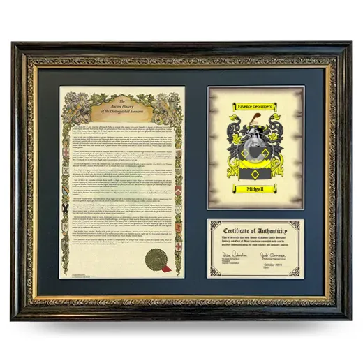 Midgall Framed Surname History and Coat of Arms- Heirloom