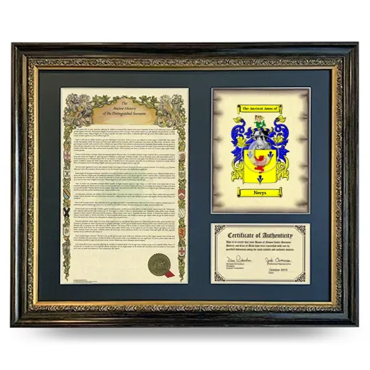 Nerys Framed Surname History and Coat of Arms- Heirloom