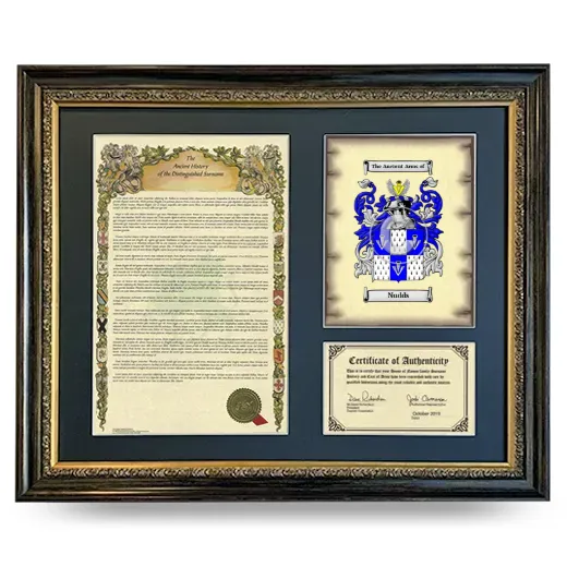 Nudds Framed Surname History and Coat of Arms- Heirloom